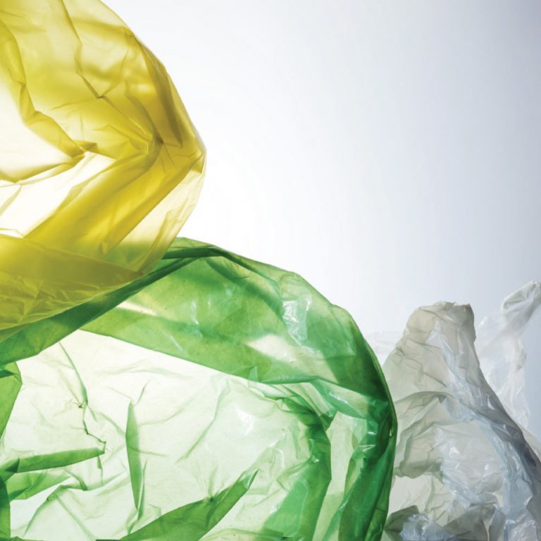 Plastic Bag Pollutions