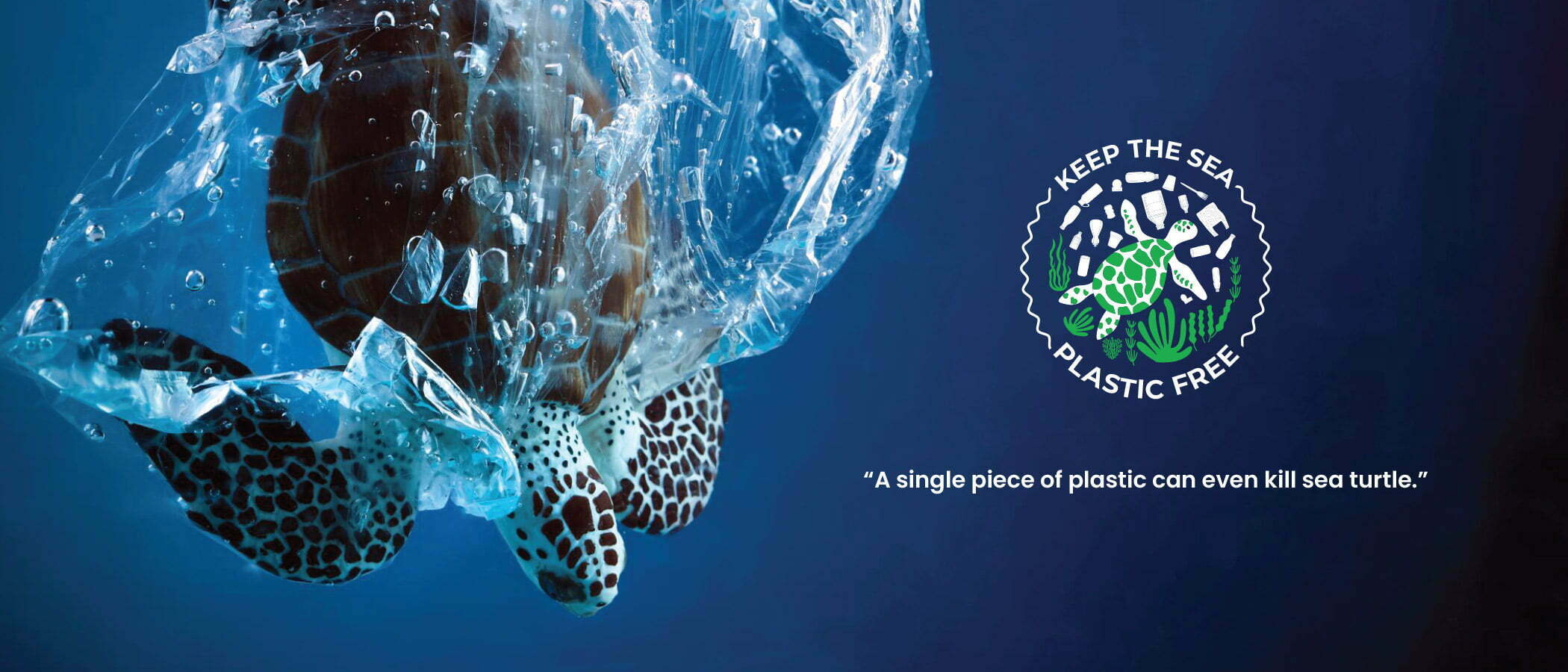“A single piece of plastic can even kill sea turtle.”