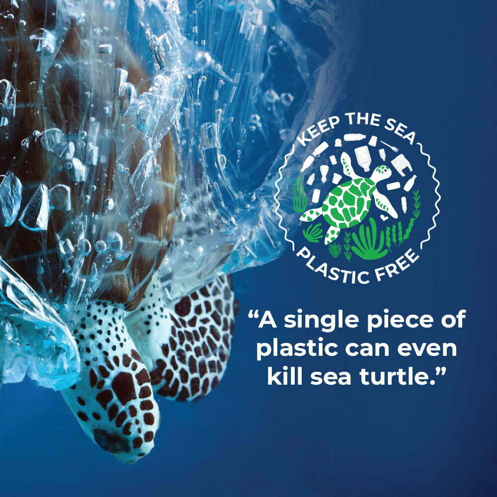 “A single piece of plastic can even kill sea turtle.”